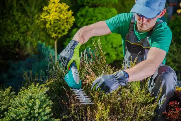 landscaping services North Tonawanda